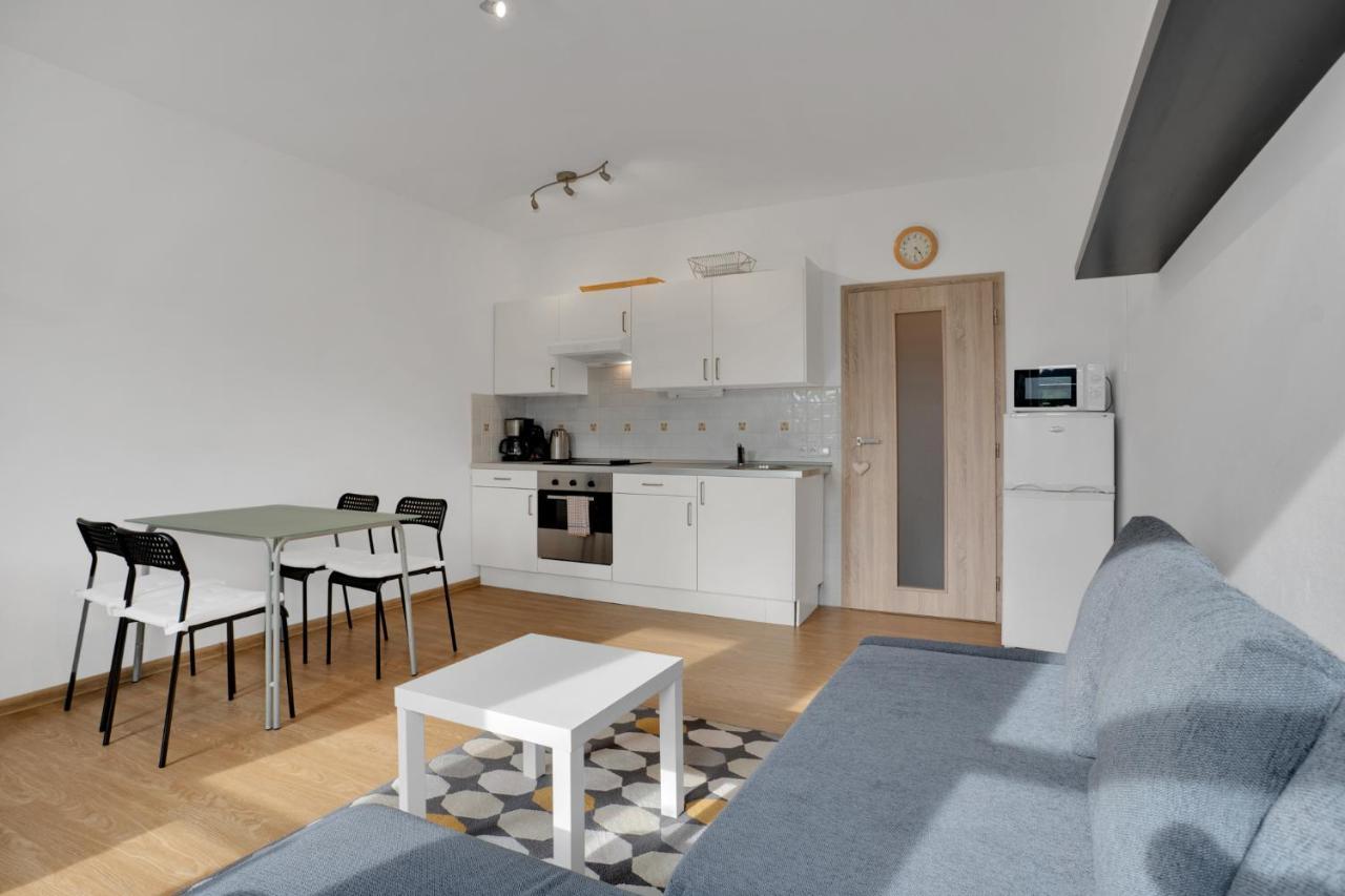 Horsky Apartman Klinovec 4 Loučná pod Klínovcem Eksteriør billede